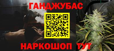 крисы Гагарин