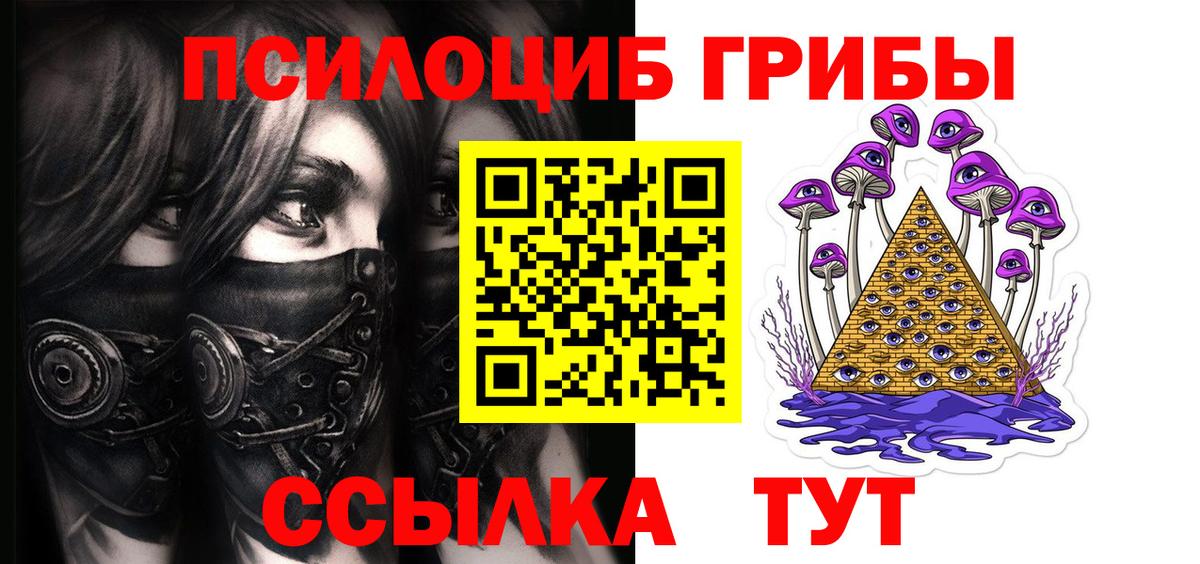 Дербент  Псилоцибиновые грибы Cubensis  Псилоцибиновые грибы Psilocybe  Вход с VPN 