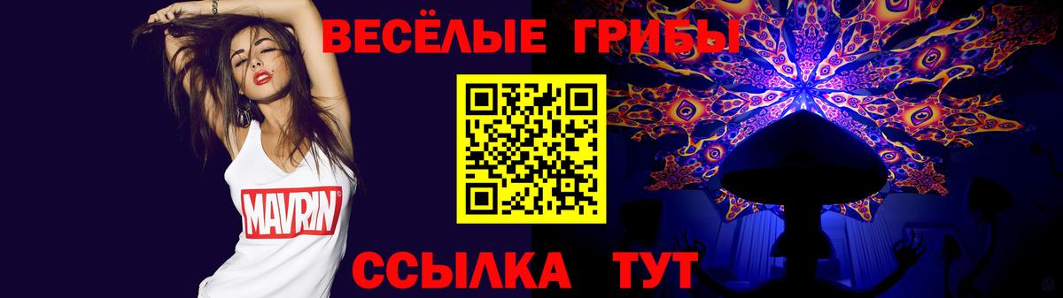 Галлюциногенные грибы Magic Shrooms Дербент